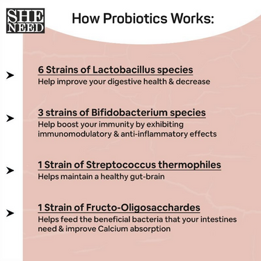 https://cdn.shopify.com/s/files/1/1857/6931/files/YrSbCrW94l.png?v=1728474975